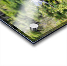 rifel bird sanctuary 2 Acrylic print