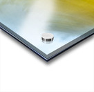 On the lake bog Houston trail Fort Langley British Columbia Canada 2 Acrylic print