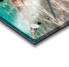 Black Tip Shark 3 Acrylic print