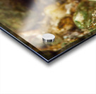 Gunnel Mukilteo Washington USA Impression Acrylique