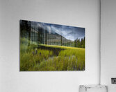 E.C Manning Provincial park British Columbia Acrylic Print