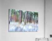 ICM forest Monck Park Nicola Valley B.C Acrylic Print