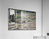 Lion Lake Nakuru kenya Acrylic Print