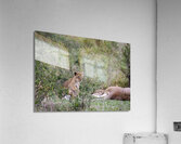 Lion cub masai mara Acrylic Print