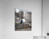 Ibis bird Sweetwaters kenya Acrylic Print
