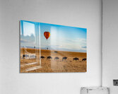 Masai Mara Acrylic Print