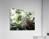 Decorated Warbonnet Acrylic Print