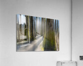 Brae Island ICM Impression acrylique