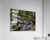 Bridal falls British Columbia creek 2 Acrylic Print