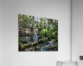 Stream at Bridal Falls Acrylic Print