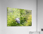 rifel bird sanctuary Impression acrylique