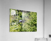 rifel bird sanctuary 2 Acrylic Print