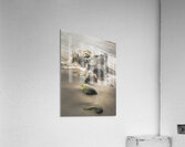 La Tahiti Peteete Tahiti 2 Acrylic Print