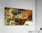 Gunnel Mukilteo Washington USA Impression acrylique