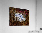 Willan s Chromodoris Nudibranch Mukilteo Washington USA Impression acrylique