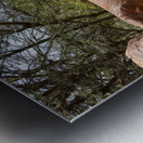 Orphaned elephants rehab center Sheldrick wildlife Impression metal