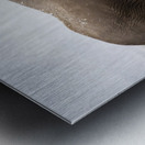 African elephants Amboseli National Park Kenya Metal print