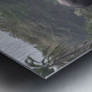  Elephants Amboseli National Park Kenya Impression metal