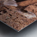 Sheldrick wildlife trust Nairobi  Metal print