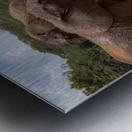 Orphaned elephants rehab center Sheldrick wildlife Impression metal