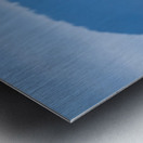 Great blue heron Pitt lake B.C Metal print