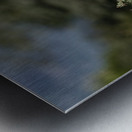 Augur Buzzard Lake Nakuru Lodge Africa  Metal print