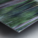 ICM forest Monck Park Nicola Valley B.C Metal print