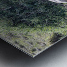 Ashnil Masai Mara Metal print