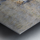 Cheetah cubs Amboseli National Park Kenya Metal print