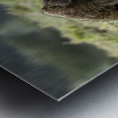 Baboons Lake Nakuru kenya Metal print