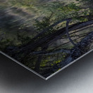 Lion Lake Nakuru kenya Metal print