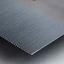 Hawk Lake Nakuru kenya Metal print