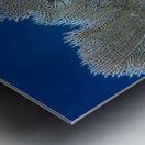 Fan coral Metal print