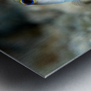 Yellowhead Jawfish Metal print