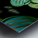 Ornate butterfly fish place of refuge hawaii Metal print