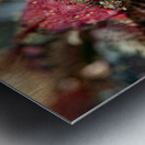 Scalyhead sculpin Keystone jetty Washington state  Metal print