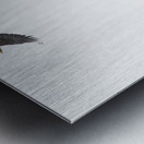 Eagle soaring over a tree Impression metal