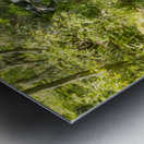 Koko-Em Gardens Kobe Japan Metal print