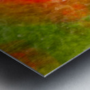 ICM of poppys Monets  Gardens Kotchi Japan Metal print