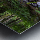 Bridal falls British Columbia creek 2 Metal print