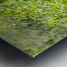 rifel bird sanctuary Impression metal