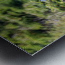 rifel bird sanctuary 2 Metal print