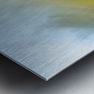 On the lake bog Houston trail Fort Langley British Columbia Canada 2 Metal print