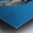 Great Blue Haron Fraser River Fort Langley 3 Metal print