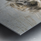 La Tahiti Peteete Tahiti 2 Metal print