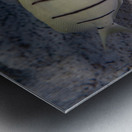 Convict Tang 2 Impression metal