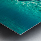 Sting rays Metal print