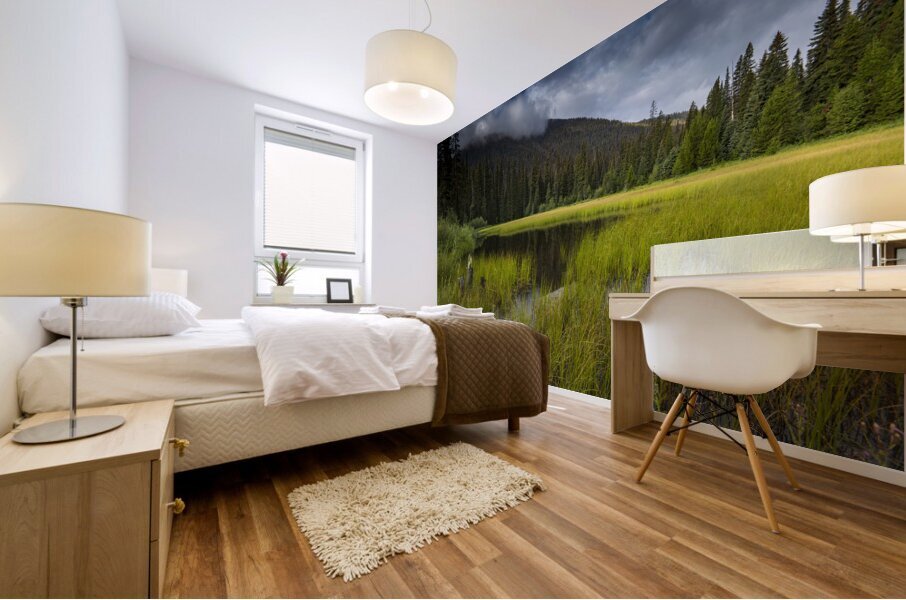 E.C Manning Provincial park British Columbia Mural print