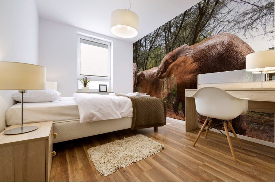 Orphaned elephants rehab center Sheldrick wildlife Impression murale