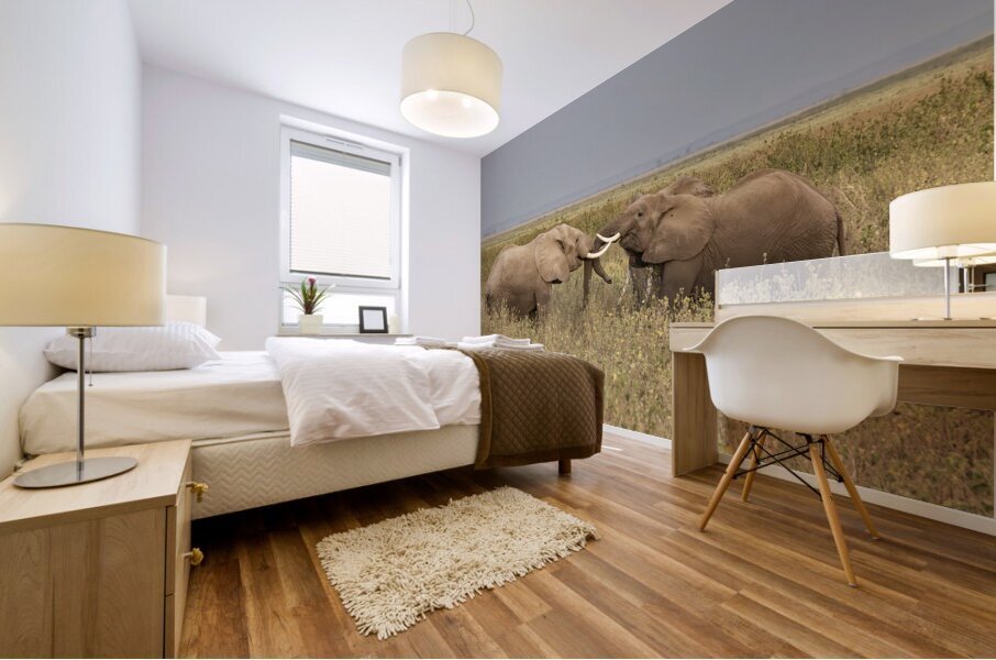 African elephant Amboseli National Park Kenya Mural print